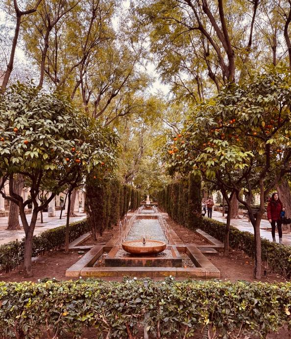 A Yatra on&nbsp;Mallorca.